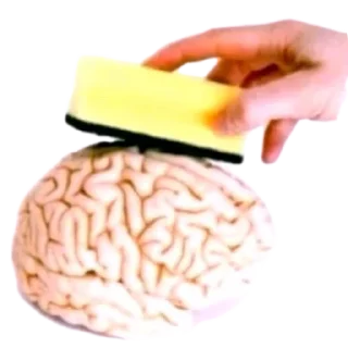 Video sticker 🤗 kys❤️