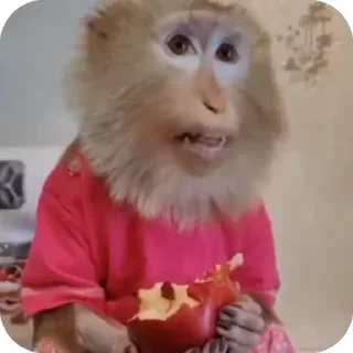 Video sticker 😐 @ouath