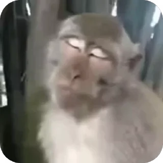 Video sticker 🤩 @ouath