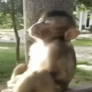 Telegram sticker 🥷 @ouath