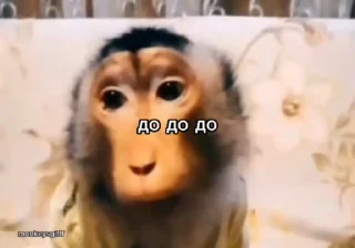 Video sticker 🌟 бибизяни [@zrklff]