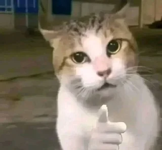 Telegram sticker 🌟 Join - @viiolett88 :: @fStikBot