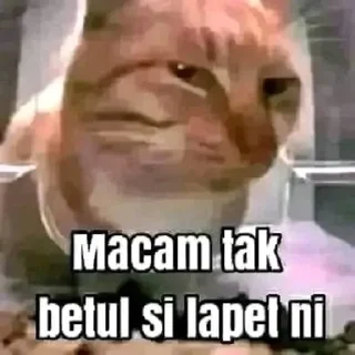 Video sticker 🌟 Join - @viiolett88 :: @fStikBot