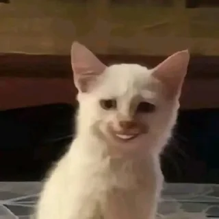 Telegram sticker 🌟 Join - @viiolett88 :: @fStikBot