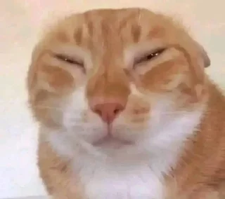 Telegram sticker 🌟 Join - @viiolett88 :: @fStikBot