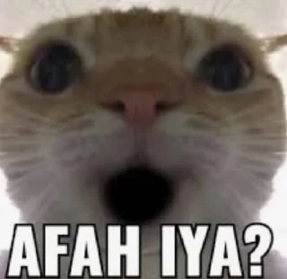 Video sticker 🌟 Join - @viiolett88 :: @fStikBot