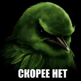 Video sticker 🐦 Птица Вряд-ли @StickerChest