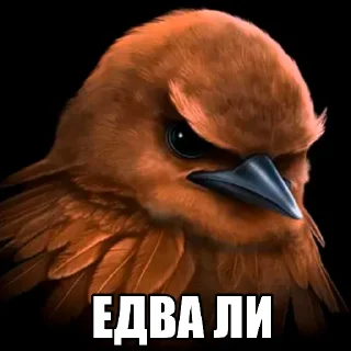Telegram sticker 🐦 Птица Вряд-ли @StickerChest