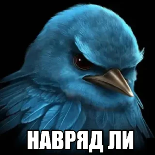 Telegram sticker 🐦 Птица Вряд-ли @StickerChest