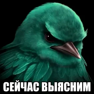 Telegram sticker 🐦 Птица Вряд-ли @StickerChest