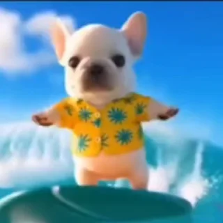 Video sticker 🤩 dog @prem0emoji