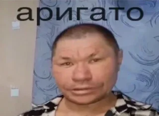 Video sticker 👽 Стики из @Anonymnyi_chat_bot