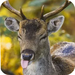 Telegram stiker ❤ DEER CORE por @TaylusStikers