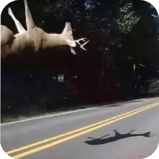 Video sticker 😭 DEER CORE por @TaylusStikers