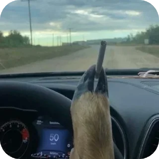 Telegram stiker 😐 DEER CORE por @TaylusStikers