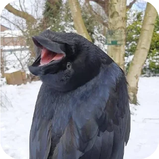 Telegram sticker 😁 Больше стиков тут: @stikery4