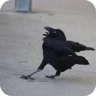 Video sticker 😱 Больше стиков тут: @stikery4