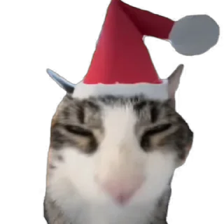Video sticker 🎄 TikTok Animals @TgSticker