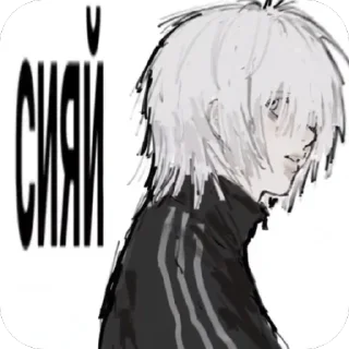 Video sticker 🫥 швург