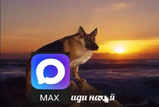 Telegram sticker 😜 ЛЮТЫЙ ПАК ФЕЗИЛОВА ДЛЯ ЕБЛИ…… :: @fStikBot