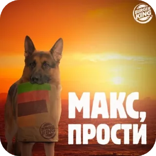 Telegram sticker 🐶 ЛЮТЫЙ ПАК ФЕЗИЛОВА ДЛЯ ЕБЛИ…… :: @fStikBot