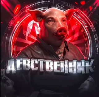 Video sticker 🤩 стикеры для настоящих женщин и мужчин (mirwixz) @SozdaiStickeriB