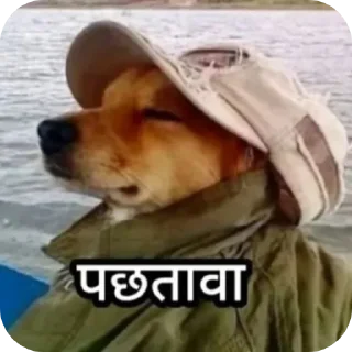 Video sticker 🐶 Walkingded @RandomPIXAR