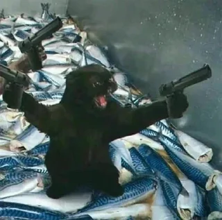 Telegram stiker 🌟 кiт by @fStikBot