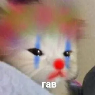 Telegram stiker 🌟 кiт by @fStikBot