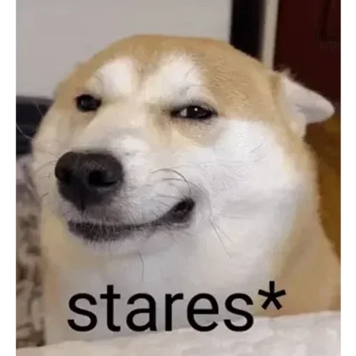 Telegram sticker 👀 Y :: @fStikBot