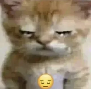 Telegram sticker 😞 @Love_a1l