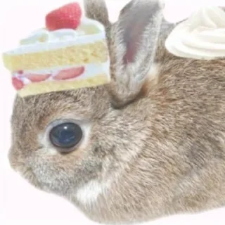 Telegram sticker 🍰 зойцы кролики @saoirse_77