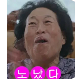 Telegram sticker 🫥 전원주콘 by @offstikbot