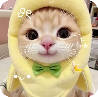 Video sticker 😁 Paws 🐾 @stickersglobal
