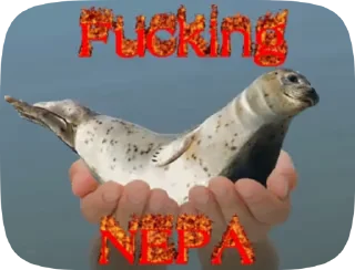 Video sticker 🦭 seels by @ttyulen :: @fStikBot