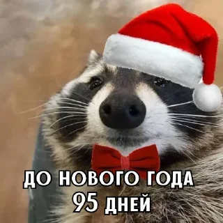 Телеграм стикер 🎄 Больше стиков тут: @stikery4
