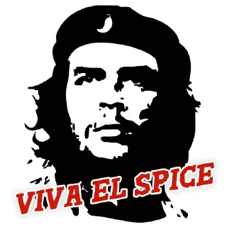 Video sticker 👨 SpiceTastic!