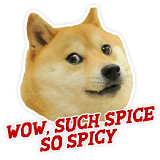 Telegram sticker 🐶 SpiceTastic!