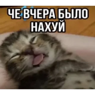 Telegram sticker 😵 [Mr.Bebra]