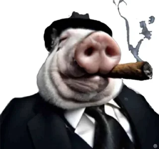 Video sticker 🤩 [Mr.Bebra]