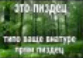 Телеграм стикер 😳 penis bolshoi