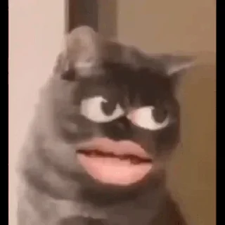 Video sticker 🌟 aleatorio :: @fStikBot