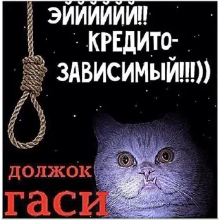 Video sticker 💳 Мем смешной — @stckrRobot