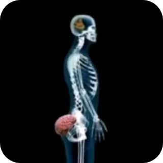 Video sticker 🤪 Ні тіпі сігмі стікірі