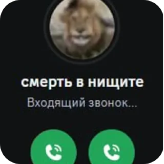 Telegram sticker 🖼 ная не святая (пресвятая)