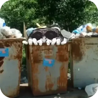 Video sticker 😜 Больше стиков тут: @stikery4