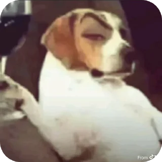 Telegram sticker 🍽 Bandos sticker set 2