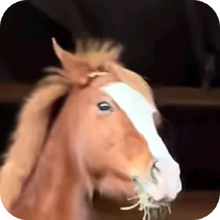 Telegram sticker ✋ Bandos sticker set 2