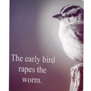 Sticker 🐦 Bandos sticker set 2