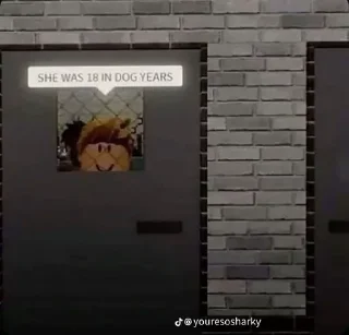 Video sticker 😊 roblox memes